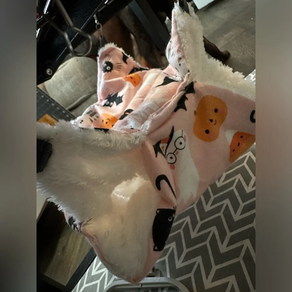 ferret/rat hammock